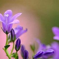 程尹:我出走半生,归来已不是少年