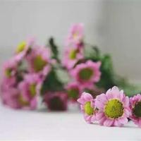 关于教书育人的名言警句，教育格言大全