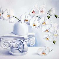 最新杨澜的一些语录 充满睿智的文字,令我非常珍惜