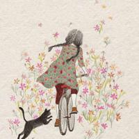 校园里发生的故事