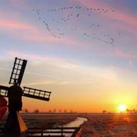 如果你知道去哪里,全世界都会为你让路!