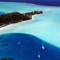 关于歌颂母爱的诗句大全,母爱句子