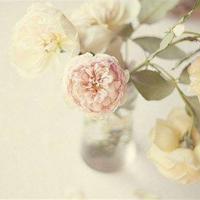 泰戈尔经典语录大全、泰戈尔诗集经典语句