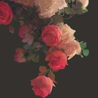 似水流年绕指柔