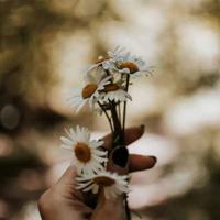 只怪我一直没有好好珍惜