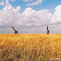 上帝不会错过你的每一个眼神