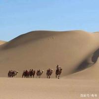 闺蜜,我一辈子的情人