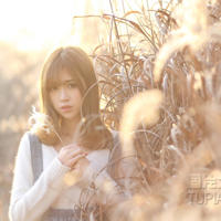 贪便宜和卖淫女合租危机四伏的日子(图)