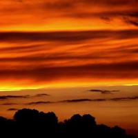 谁是最后的赢家