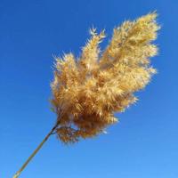 惹人爆笑的搞笑语录_搞笑短语