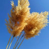 早安晚安励志语录,最振奋人心的话