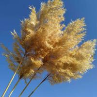 乡下怪谈之三道巷