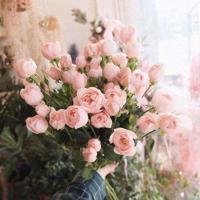 笑死人不偿命的搞笑个性签名_搞笑短句