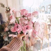 张小娴经典语录大全 我以为我害怕的,是告别的时刻,原来,我同样害