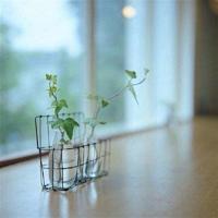 少年的你经典语录100句|经典短语