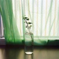 44条亦舒作品里的经典句子,句句都是经典
