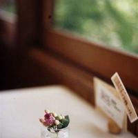 2019世界水日和中国水周的宣传主题及口号大全