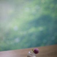 读后让人深思的心情语录_心情一句话