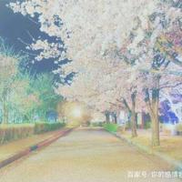 搞笑菜名，没有做不到，只有想不到。