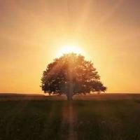 遵照道德准则生活就是幸福的生活。