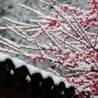 妈妈,来生让我再做您的女儿