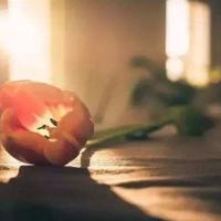 越幸福,就越能成功