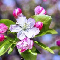 一个关于人生不断重复的故事