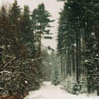 新年短信祝福语,新年祝福短信