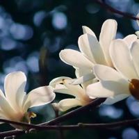 不是原谅别人，而是放过自己。