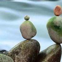 梧桐树下的埋伏