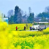 保护生命的最高价值