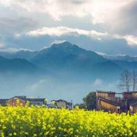 (校园爱情文章)我又是这样想你了,你能感觉到吗