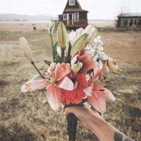 幸福的企鹅妈妈