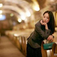 爱上了他打中我的那颗子弹