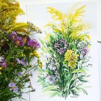 毕淑敏的经典语句 我不相信手掌的纹路,但我相信手掌加上手指的