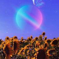 与温暖终年不遇