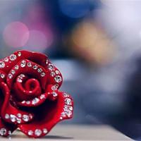 给自己增加内在动力的励志格言警句