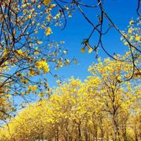 唉妈,吓死老子了,赶紧点根烟压压惊。