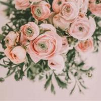 毕淑敏人生语录 幸福并不与财富地位声望婚姻同步,这只是你心灵