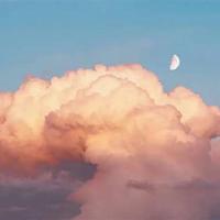 愿说所有情话给你听