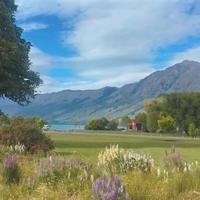 选择强迫还是强奸?