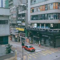 夏日里桃花安然朵朵