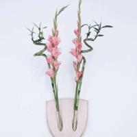 朋友圈低调祝福自己生日快乐的句子说说精选