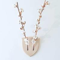 你经过我身旁 像鹿穿过山岗