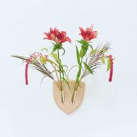 关于李敖的经典语录 报仇的最好方法就是要比敌人活得久