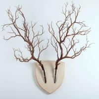 微雨的小镇散文