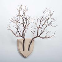 我的丈夫绝不会选择你