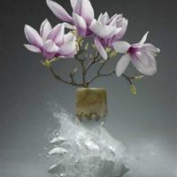 郭德纲经典语录之话说郭德纲的搞笑语录