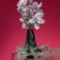 一些郭敬明的经典爱情语录希望大家喜欢