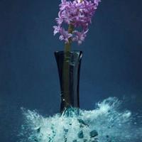 停留是刹那，转身是天涯